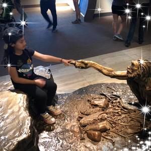 Meet your Posher, Leo